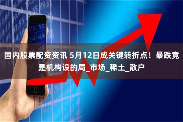 国内股票配资资讯 5月12日成关键转折点！暴跌竟是机构设的局_市场_稀土_散户