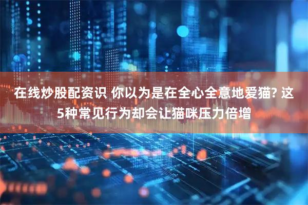 在线炒股配资识 你以为是在全心全意地爱猫? 这5种常见行为却会让猫咪压力倍增
