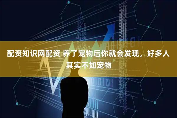 配资知识网配资 养了宠物后你就会发现，好多人其实不如宠物