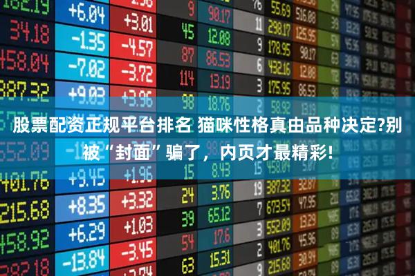 股票配资正规平台排名 猫咪性格真由品种决定?别被“封面”骗了，内页才最精彩!